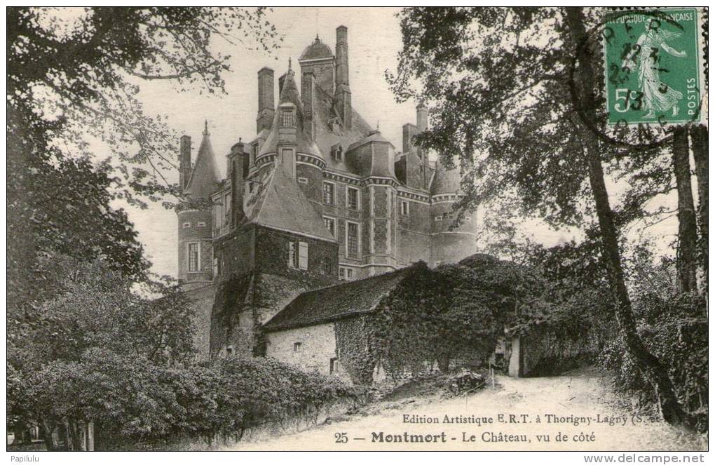 Montmort Le Chateau Vu De Cote - Montmort Lucy
