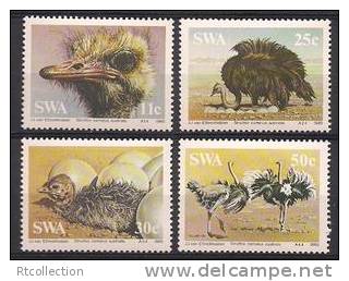 South West Africa SWA 1985 Birds Bird Orstriches Orstrich Eggs Animals Natue Stamps MNH Scott 536-539 Michel 566-569 - Struzzi