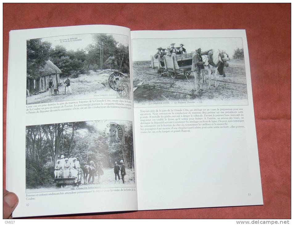 ROYAN  RONCE LES BAINS  SAINT PALAIS  SAINT GEORGES DE DIDONNE 200 REPROS CPA ET PHOTOS EDITION SUTTON MEMOIRE EN IMAGES - Boeken & Catalogi