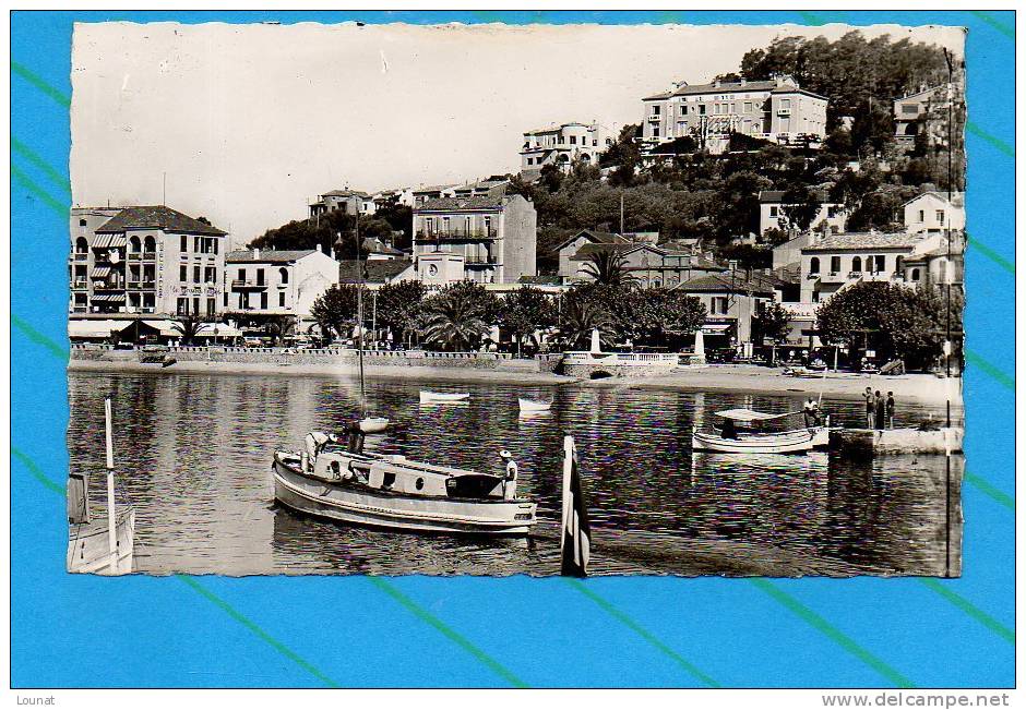 83 Le LAVANDOU : Le Port N°53 Collection Morlet (non écrite, Non Voyagée) - Le Lavandou