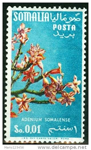 SOMALIA, A.F.I.S., FIORI, 1956, FRANCOBOLLO NUOVO (MNH**), Sassone 39 - Somalia (AFIS)