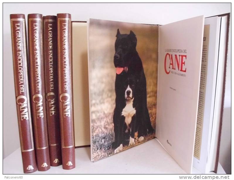 LA  GRANDE  ENCICLOPEDIA  DEL  CANE - Gezelschapsdieren