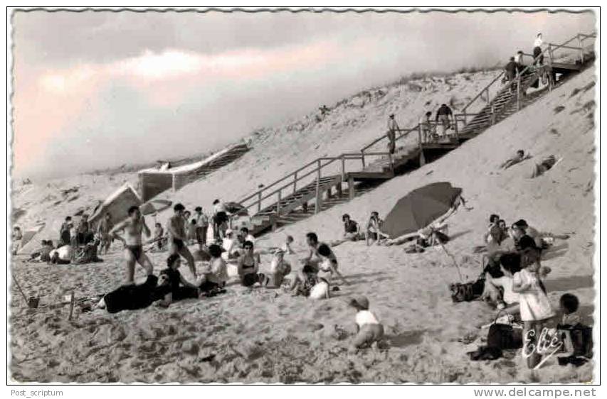 Carcans Plage Descente à La Plage - Carcans