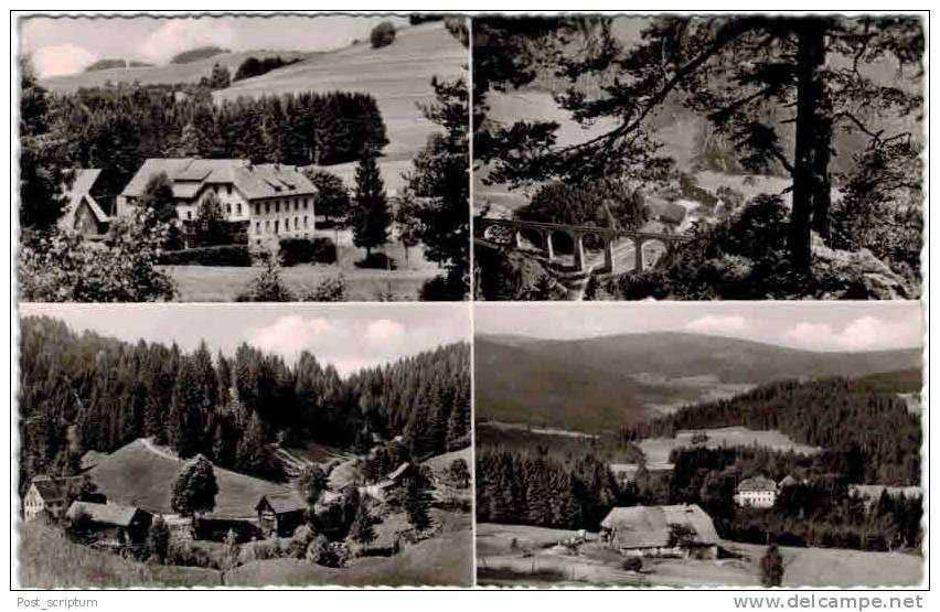 Allemagne - Breitnau Hinterzarten Gasthaus Zur Ravennaschlucht - Hinterzarten