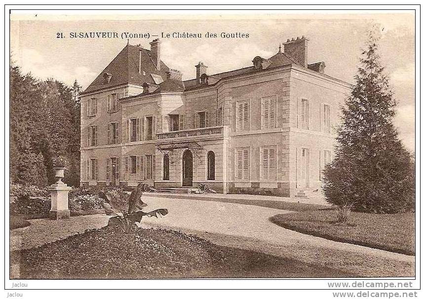 SAINT SAUVEUR  LE CHATEAU DES GOUTTES REF 10751 - Saint Sauveur En Puisaye