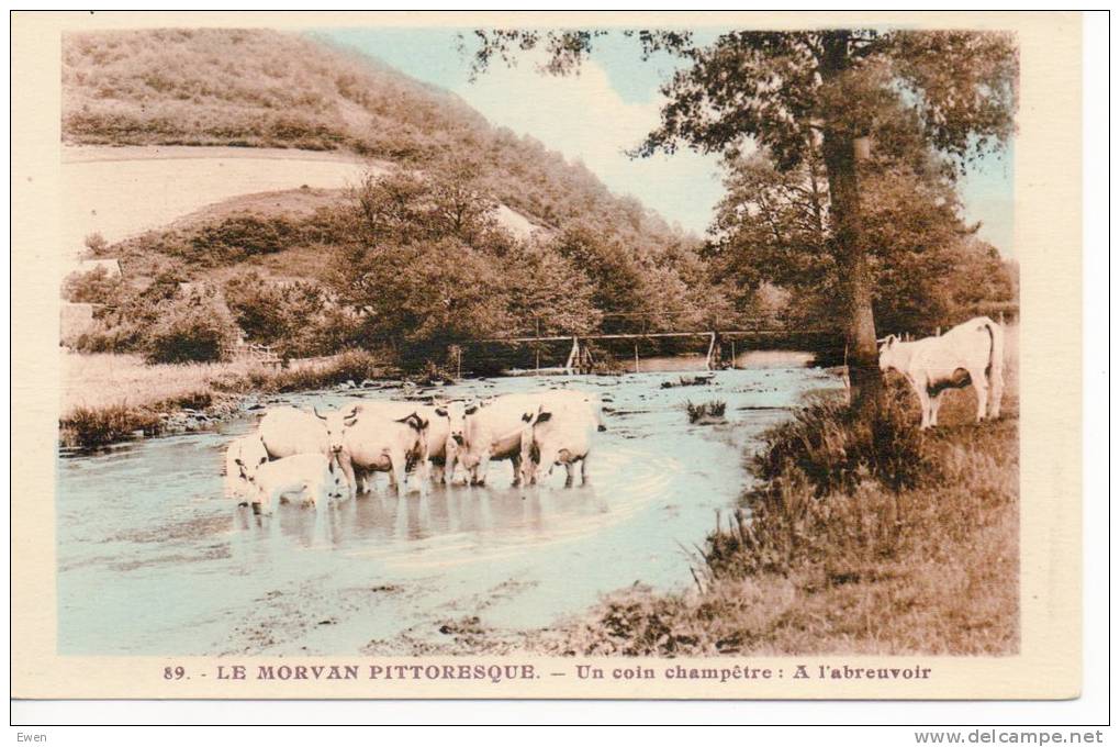 Le Morvan Pittoresque. Un Coin Champêtre : A L'abreuvoir. - Bourgogne