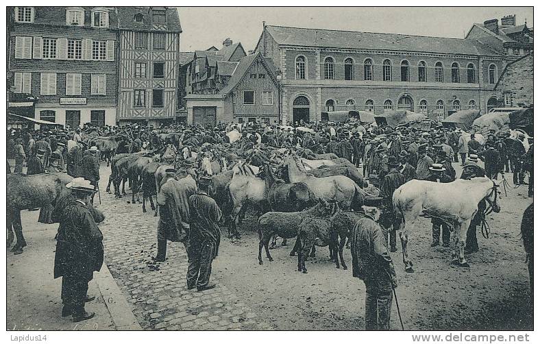 L L 106/ C P  A -  LISIEUX   (14)   PLACE  DE LA REPUBLIQUE LE MARCHE AUX CHEVAUX - Lisieux