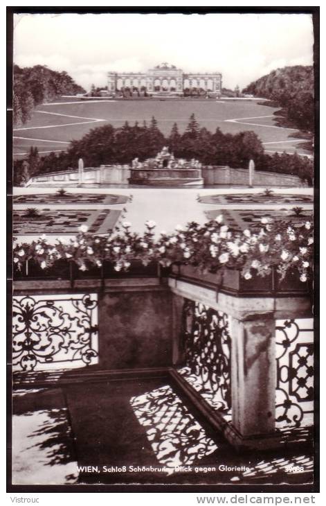 WIEN -  VIENNE - Schloss Schönbrunn, Blick Gegen Gloriette - Gelaufen - Circulé - Circulated - 1959. - Schönbrunn Palace