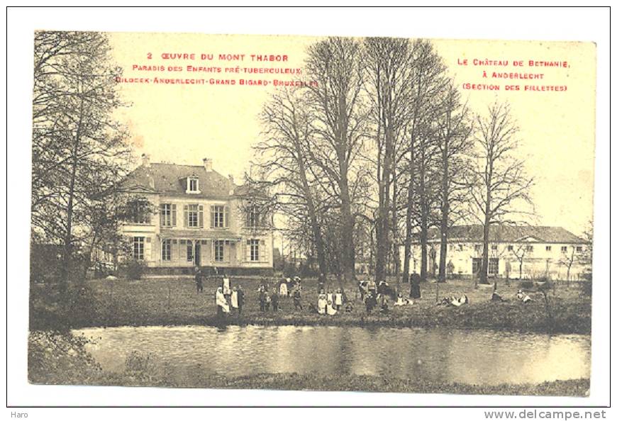 Oeuvre Du Mont Thabor - DILBEEK - ANDERLECHT Château De Bethanie - GRAND-BIGARD - BRUXELLES  (Y255)o3 - Dilbeek
