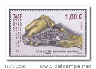 TAAF 2013 Postfris MNH Fish - Unused Stamps