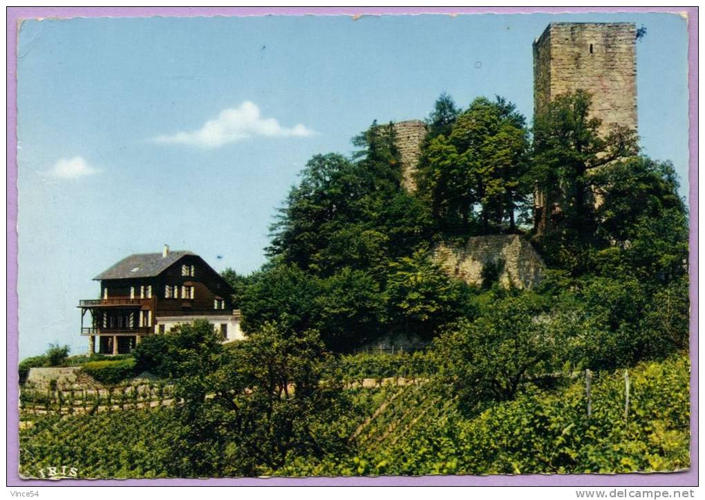 BÜHL - Le Château De Windeck Ruine Windeck Burgruine Windeck - Bühl