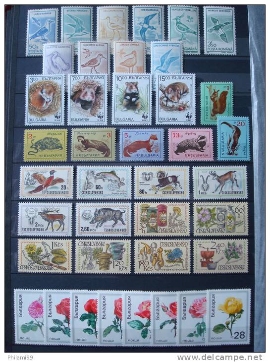 EAST EUROPA  6 SETS FAUNA FLORA  / MNH * * /  ROMANIA BULGARIA CZECHOSLOVAKIA - Vrac (max 999 Timbres)