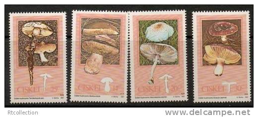 South Africa SA Ciskei 1987 Plants Poisonous Mushrooms Fungi Nature CHAMPIGNONS Stamps MNH Michel 145-148 SG 141-144 - Ciskei