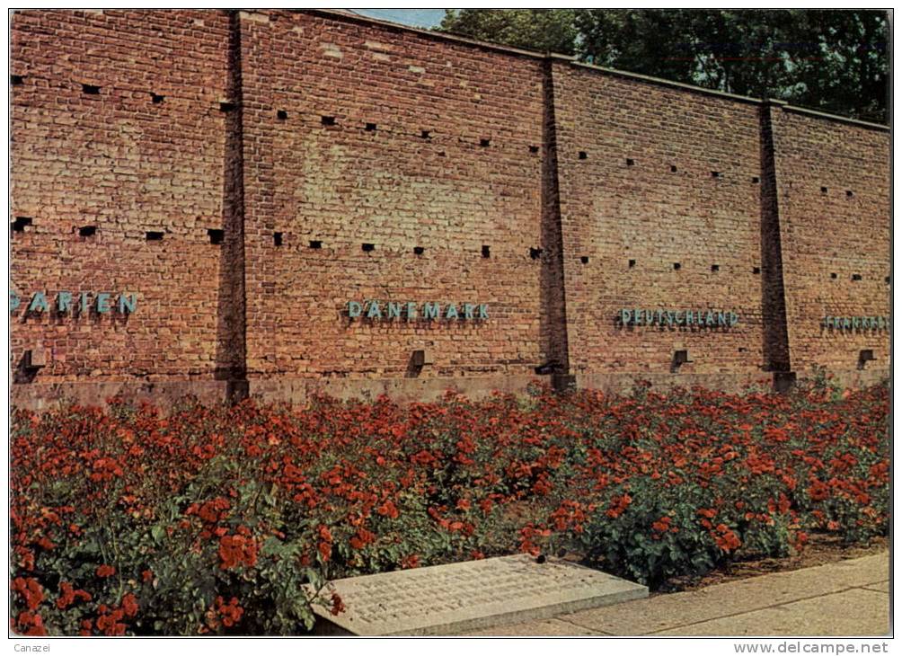 AK Ravensbrück, Gedenkstätte, Lagermauer Mit Dem Rosenbeet, Beschr, 1967 - Fuerstenberg