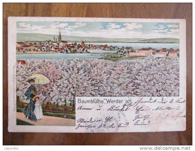 AK WERDER A.Havel Litho 1906 //  D*7333 - Werder