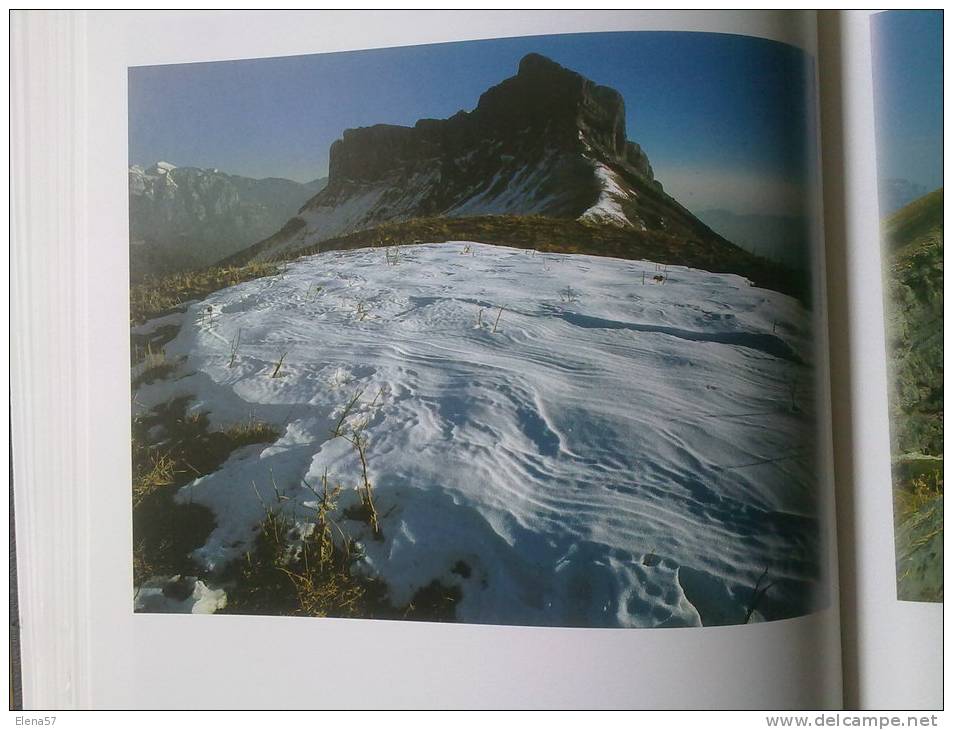 2 GRANDES LIBROS PARQUES NATURALES DE ESPAÑA NATURALEZA Y FOTOGRAFIAS.2 TOMOS / ED. PLANETA,PROTECSA.AÑO 1997.BELLISIMAS