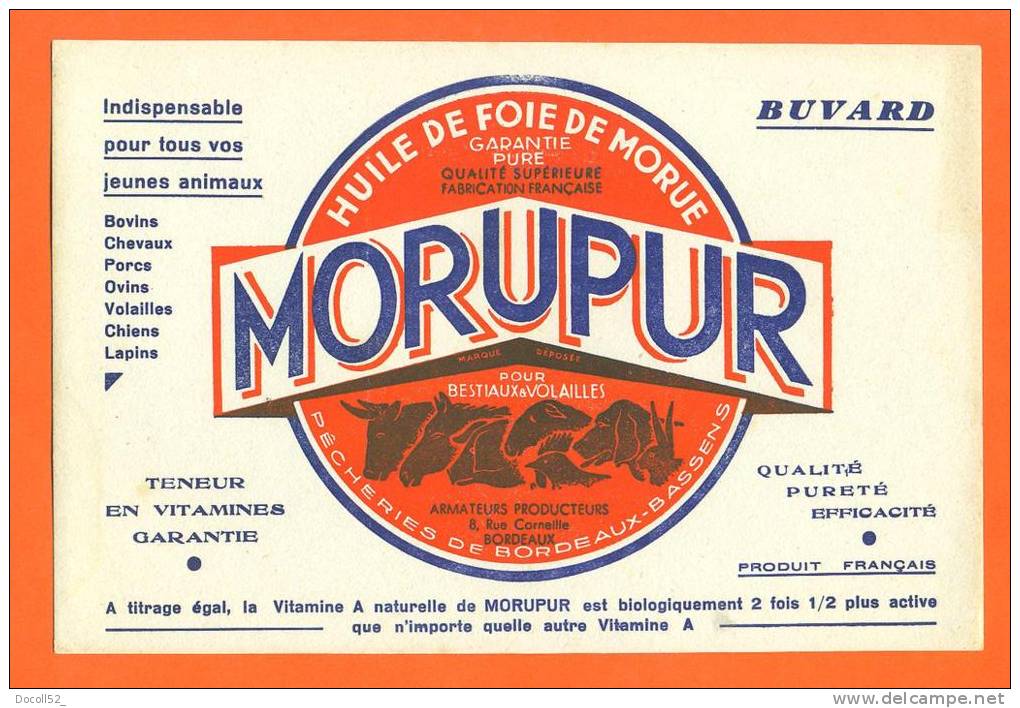 Buvard  "  Huile De Foie De Morue - Morupur    "  Pour Bestiaux Et Vollailles - Landwirtschaft