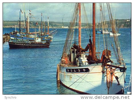 Le Grand Port - Douarnenez