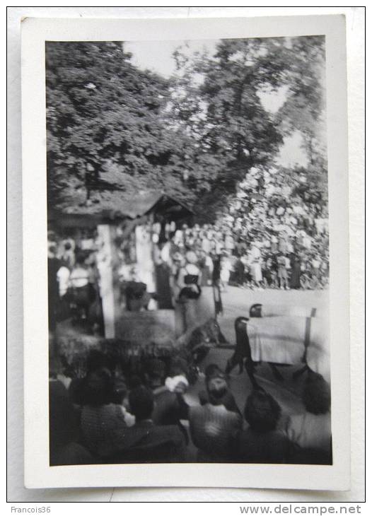 Lot De 6 Photos Theatre En Plein Air Nature Au Pays Basque - Circa 1940-50 Danses Folklore Taureaux Fête Spectacle - Places