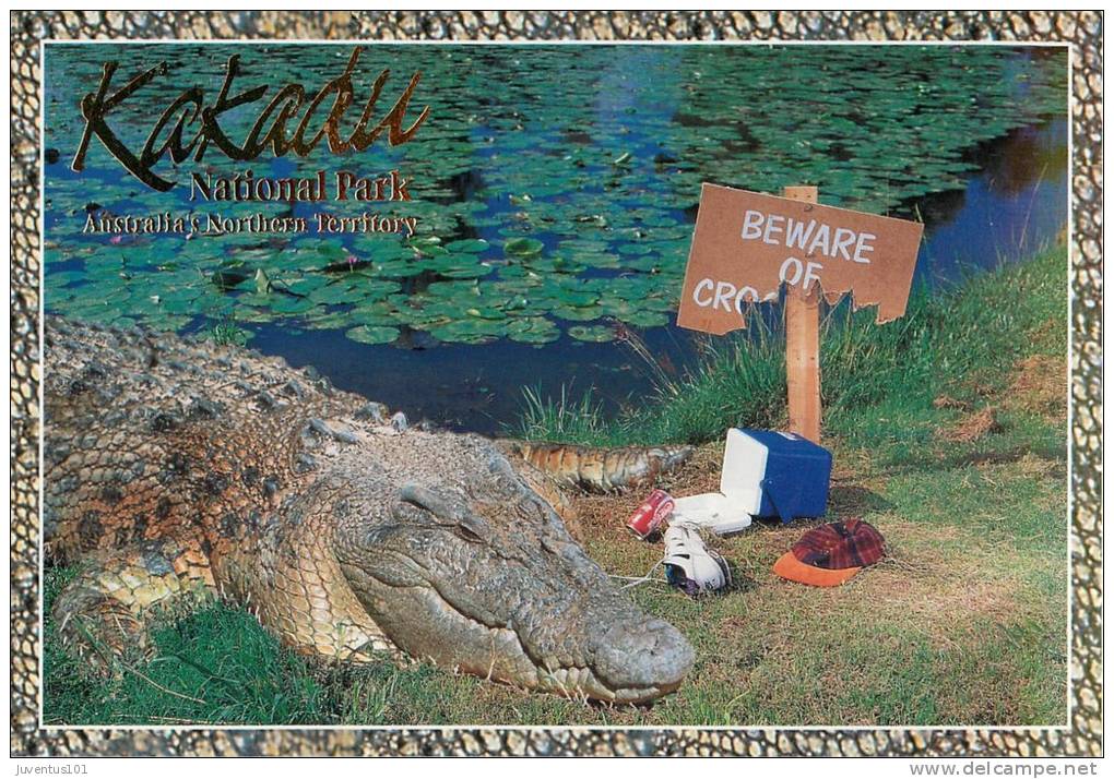CPSM Australie-Australia-Kakadu National Park-Saltwater Crocodile   L1250 - Kakadu