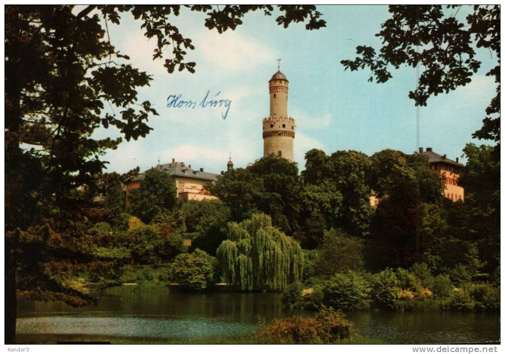 Bad Homburg Im Schlosspark - Bad Homburg
