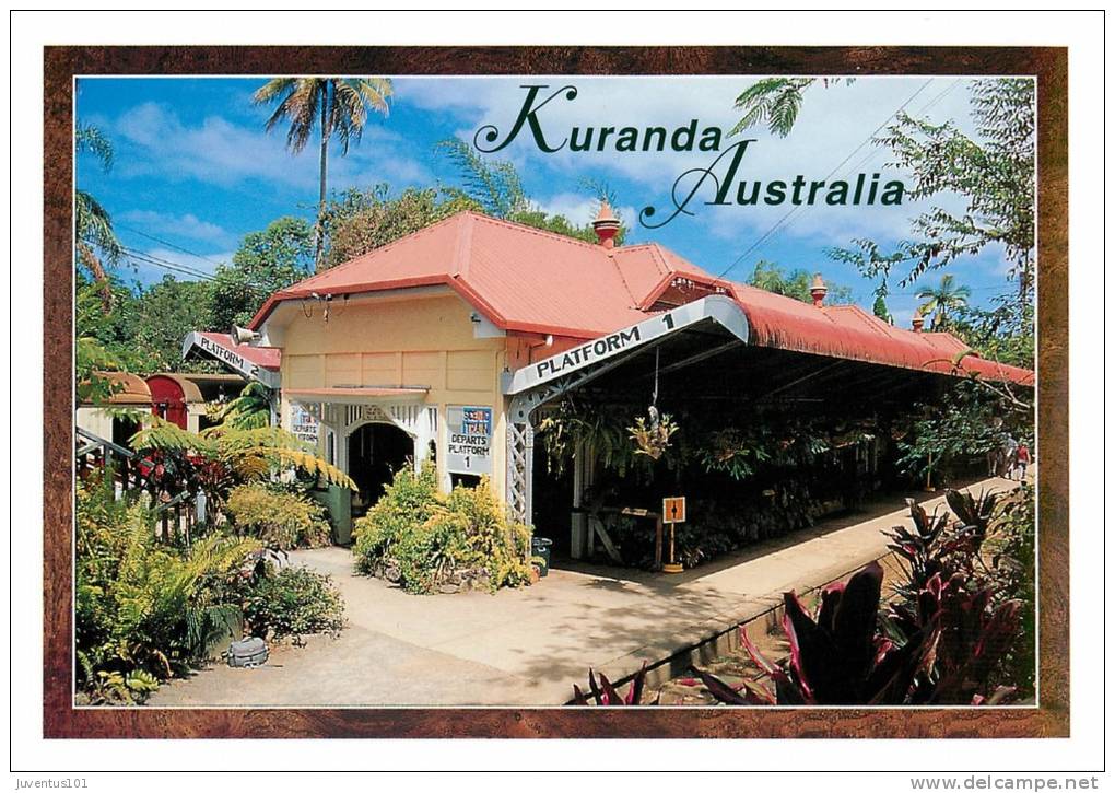 CPSM Australie-Australia-Kuranda-Cairns   L1250 - Cairns