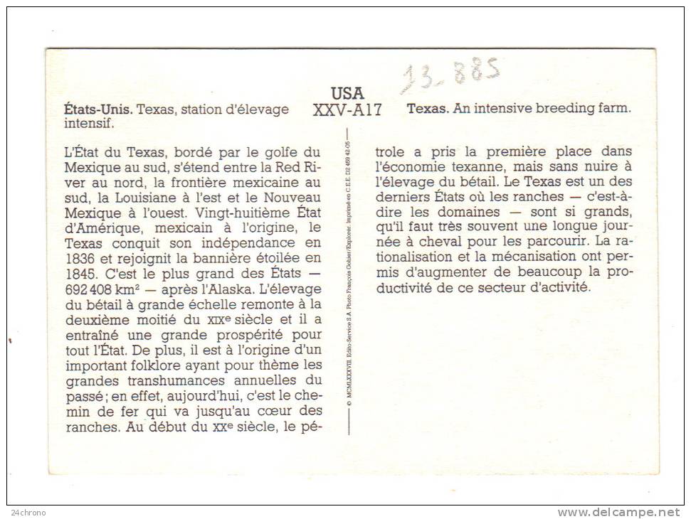 Etats Unis: Texas, Station D' Elevage Intensif, An Intensive Breeding Farm (13-885) - Other & Unclassified