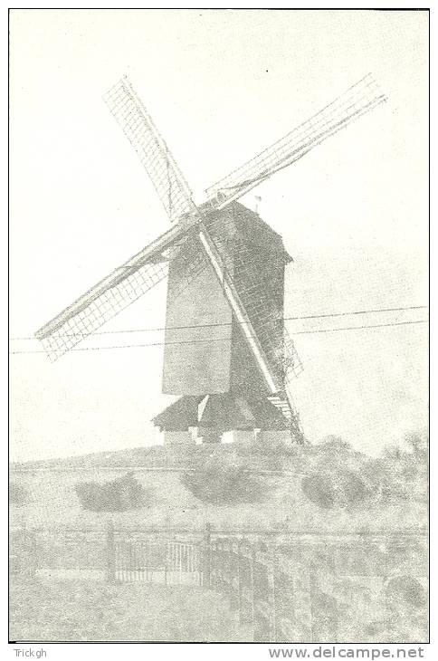 Herzele Molen Ter Rullegem / Moulin Wind Mill - Herzele