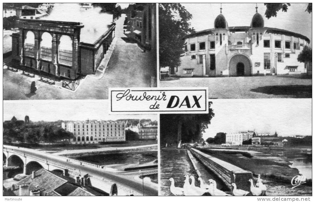 -CPSM  - 40 - DAX - Multivues - Vue Générale - Les Arènes - Fontaine D'eau Chaude - L'Adour -  160 - Dax