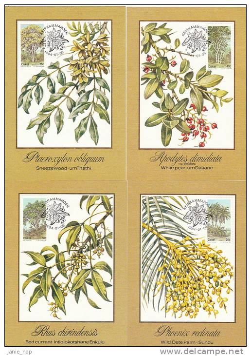 Ciskei 2984 Indigenous Trees Set 4 Maximum Cards - Ciskei