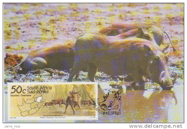 South Africa 1995 Tourism Set 4 Maximum Cards - Other & Unclassified