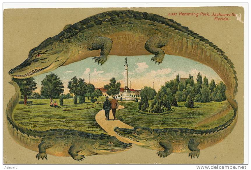 Jacksonville Hemming Park S 597 Edit Langsdorf Alligator Embossed Frame Crocodile Gaufrée - Jacksonville