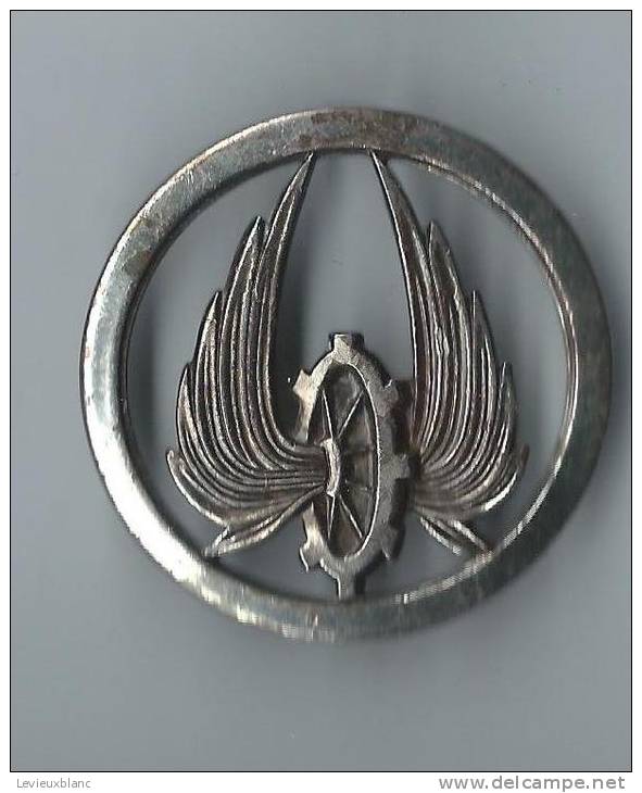 Insigne De Béret/Ancien/Armée Française/Train/Richet Livry Gargan/ Vers 1960      IB16 - Landmacht