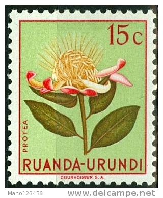 RUANDA URUNDI, 1953, FLORA, FIORI, FLOWERS, PROTEA, FRANCOBOLLO NUOVO (MLH*), Scott 115, YT 178, Bel 178 - Nuovi