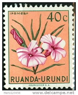 RUANDA URUNDI, 1953, FLORA, FIORI, FLOWERS, IPOMEA, FRANCOBOLLO NUOVO (MLH*), Scott 118, YT 181, Bel 181 - Neufs