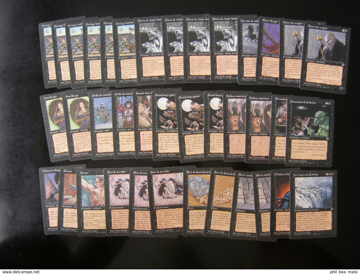 CARTE MAGIC THE GATHERING - TERRES NATALES - LOT 232 CARTES - VOIR PHOTOS ET DESCRIPTION - Lots