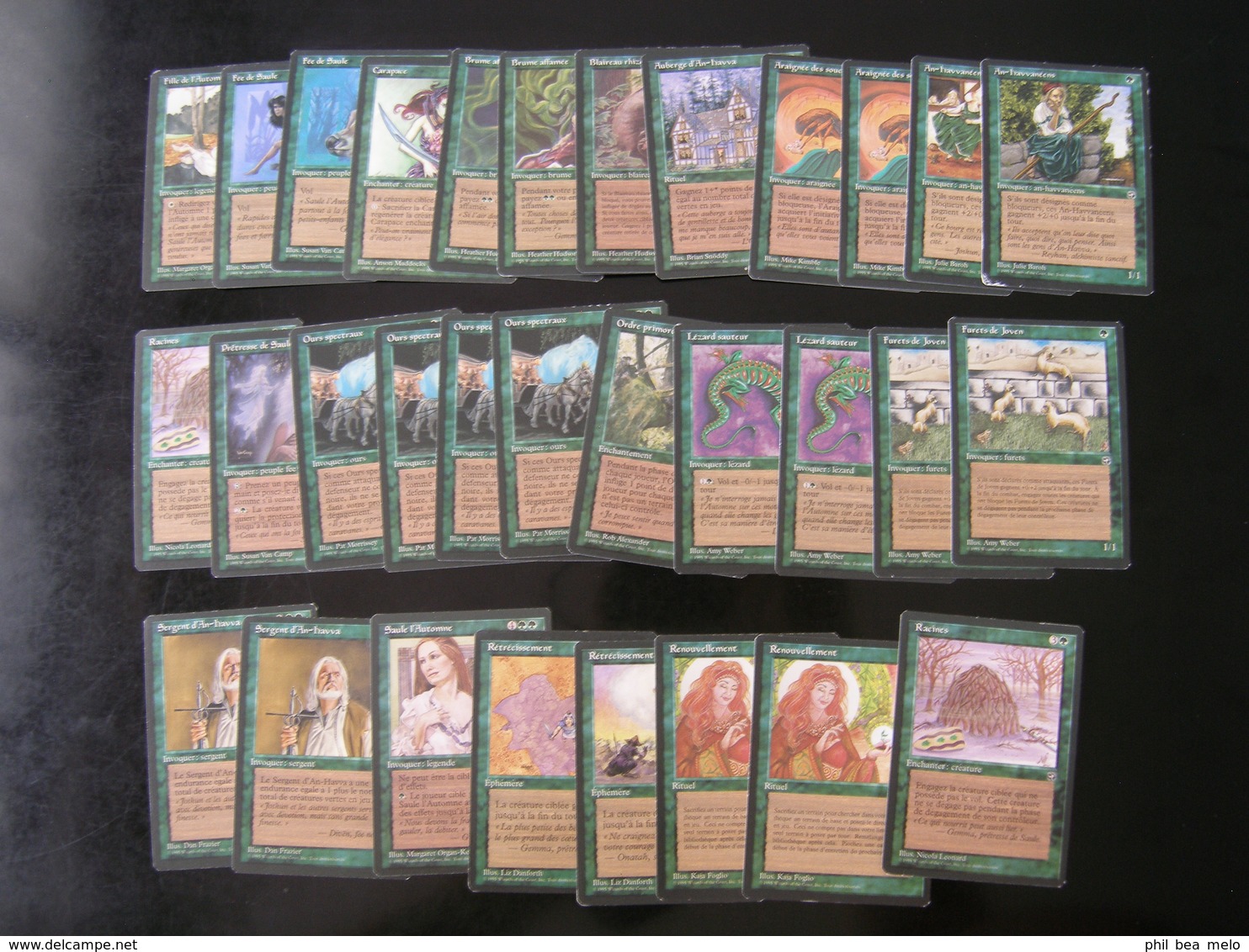 CARTE MAGIC THE GATHERING - TERRES NATALES - LOT 232 CARTES - VOIR PHOTOS ET DESCRIPTION