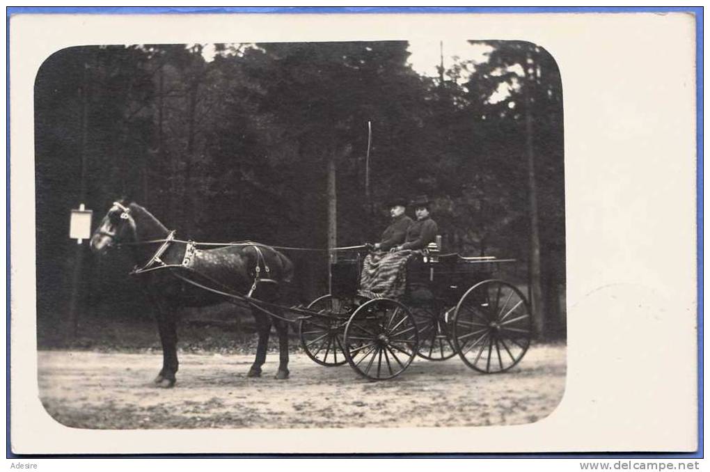 COACH With Older Couple, Old Photo Card In 1900? After Running From Dresden?; KUTSCHE Mit älterem Paar, Alte ... - Sonstige & Ohne Zuordnung