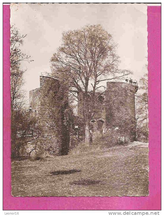 METTLACH  -    ** GRUSS VON BURG MONT CLAIR IM JAHRE 1960 **  -  Verlag  Stefan SCHMITT Aus Merzig  -  N°1189 E - Kreis Merzig-Wadern