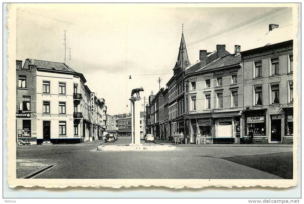 LA LOUVIERE  -  Place De La Fontaine. - La Louvière