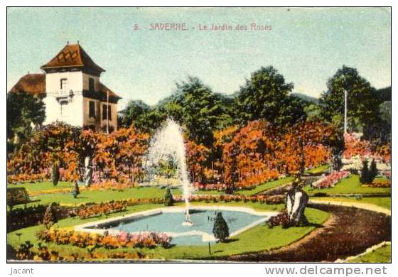 Saverne - Le Jardin Des Roses - Saverne