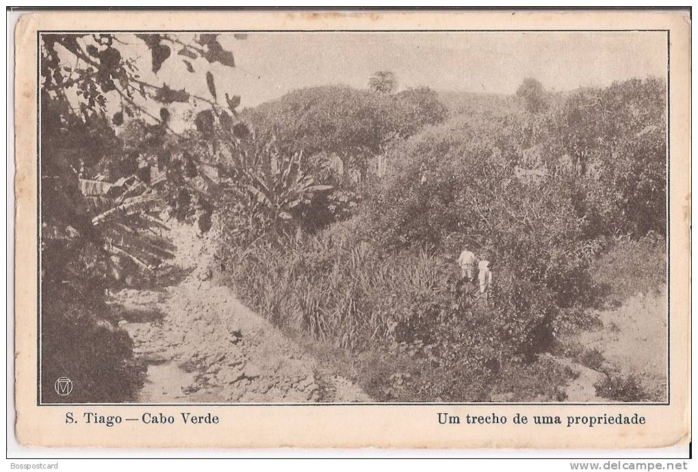 S. Tiago - Cabo Verde - Um Trecho De Uma Propriedade - Cap Verde