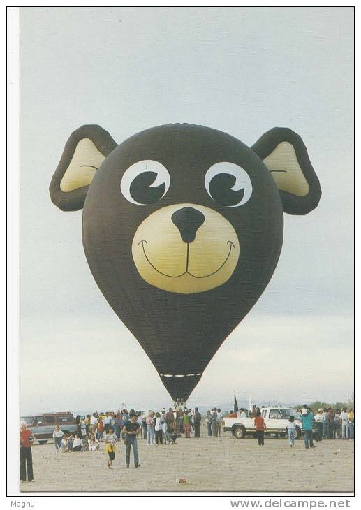 Hot Air Balloon Festival, Bear Shape, Albuquerque, New Mexico, Sport, Celebration, Entertainment, - Albuquerque