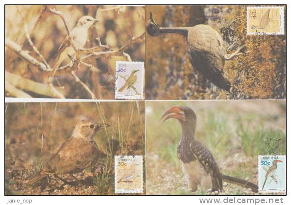 South West Africa 1988 Birds Set 4 Maximum Cards - Other & Unclassified