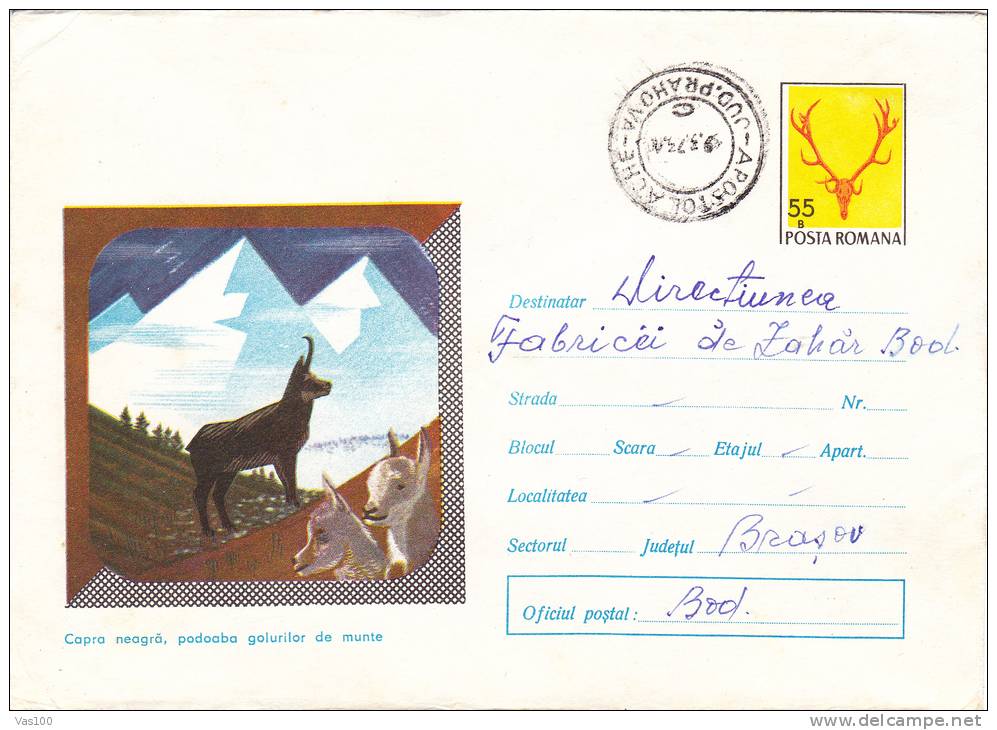 CAPRA NEAGRA, CHAMOIS, 1972,COVER STATIONERY, ENTIER POSTAUX, ROMANIA - Gibier