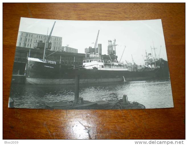 Photographie De Bateau "TORRIDAL 1930"   NORVEGE  80 -FF22 - Koopvaardij