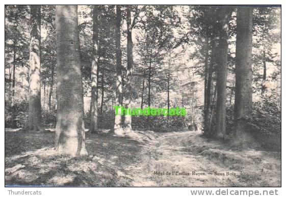 CPA KLUISBERGEN ORROIR MONT DE L'ENCLUS  RUYEN SOUS BOIS - Kluisbergen