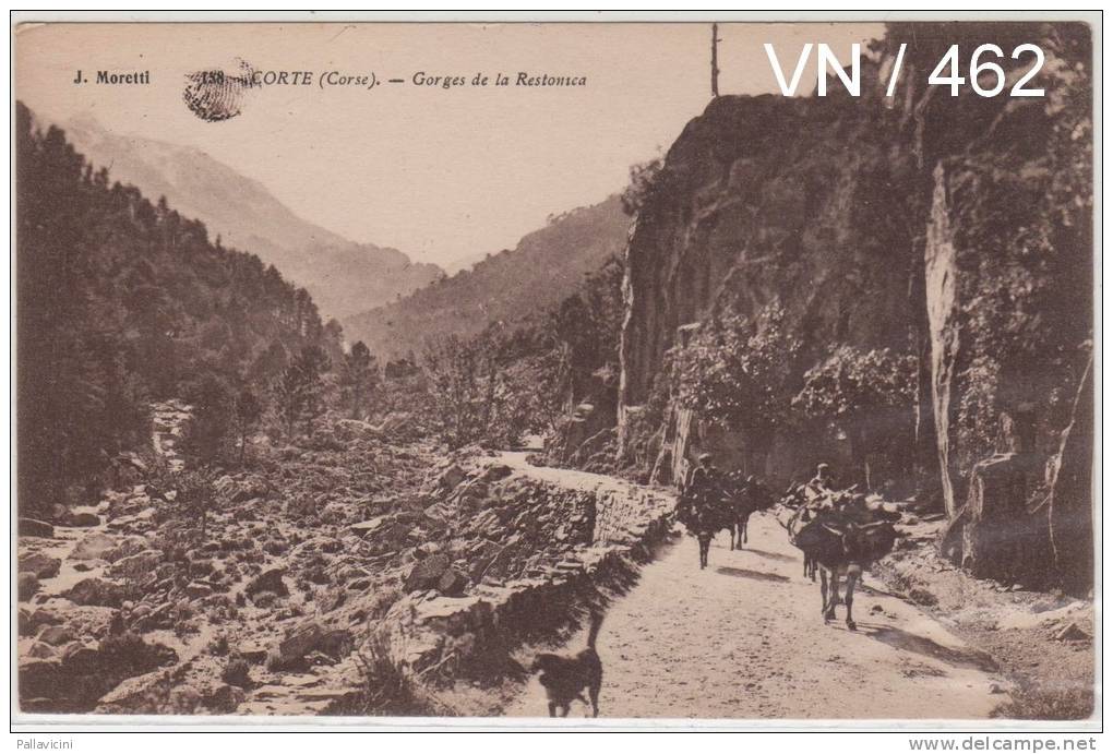 CORSE - BELLE CPA ANIMEE CORTE - LES GORGES DE LA RESTONICA - (ED. J. MORETTI) - Corte