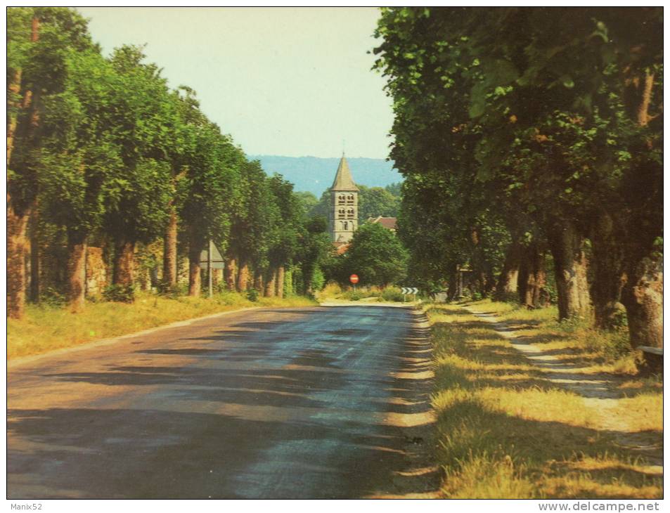 52 - VIGNORY - Eglise Romane Vue De L´allée Des Tilleuls. - Vignory