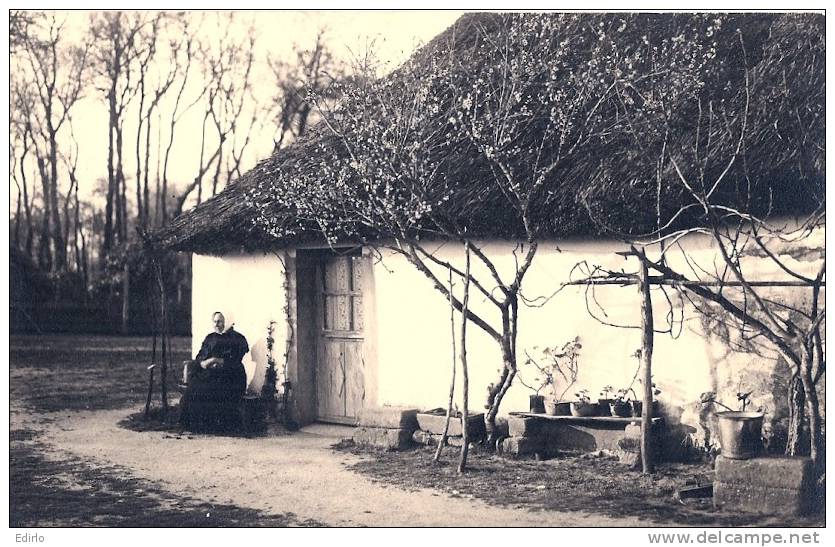 Photo Carte Chaumiere Certainement Normande - Farms